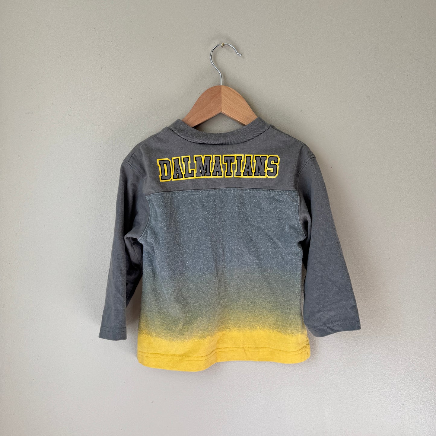 Vintage 102 Dalmatians Ombré Shirt (3T)